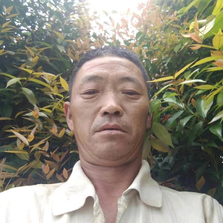 真心的爱599