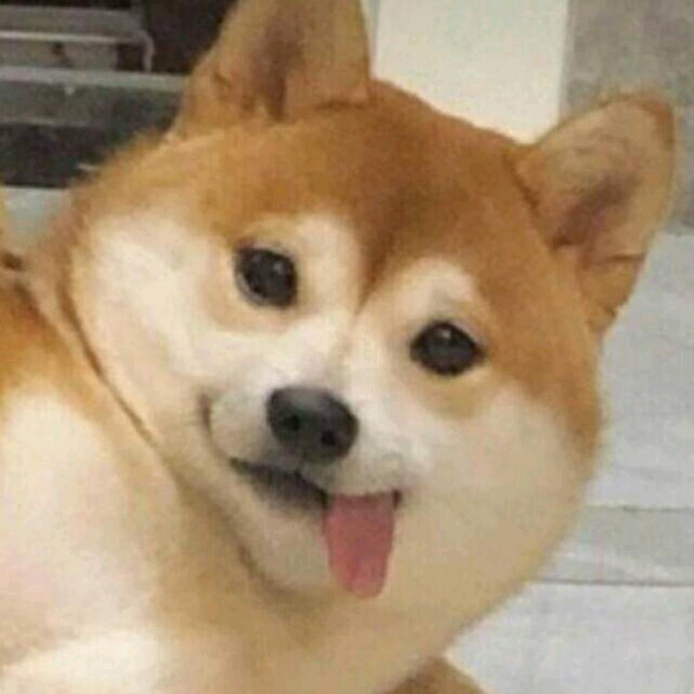 爱喝奶茶的大师哥