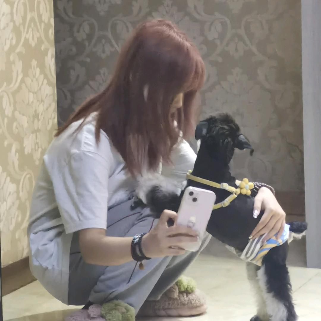 步步高g