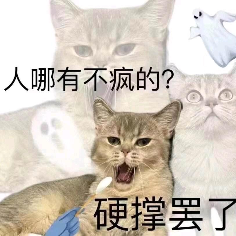 雾