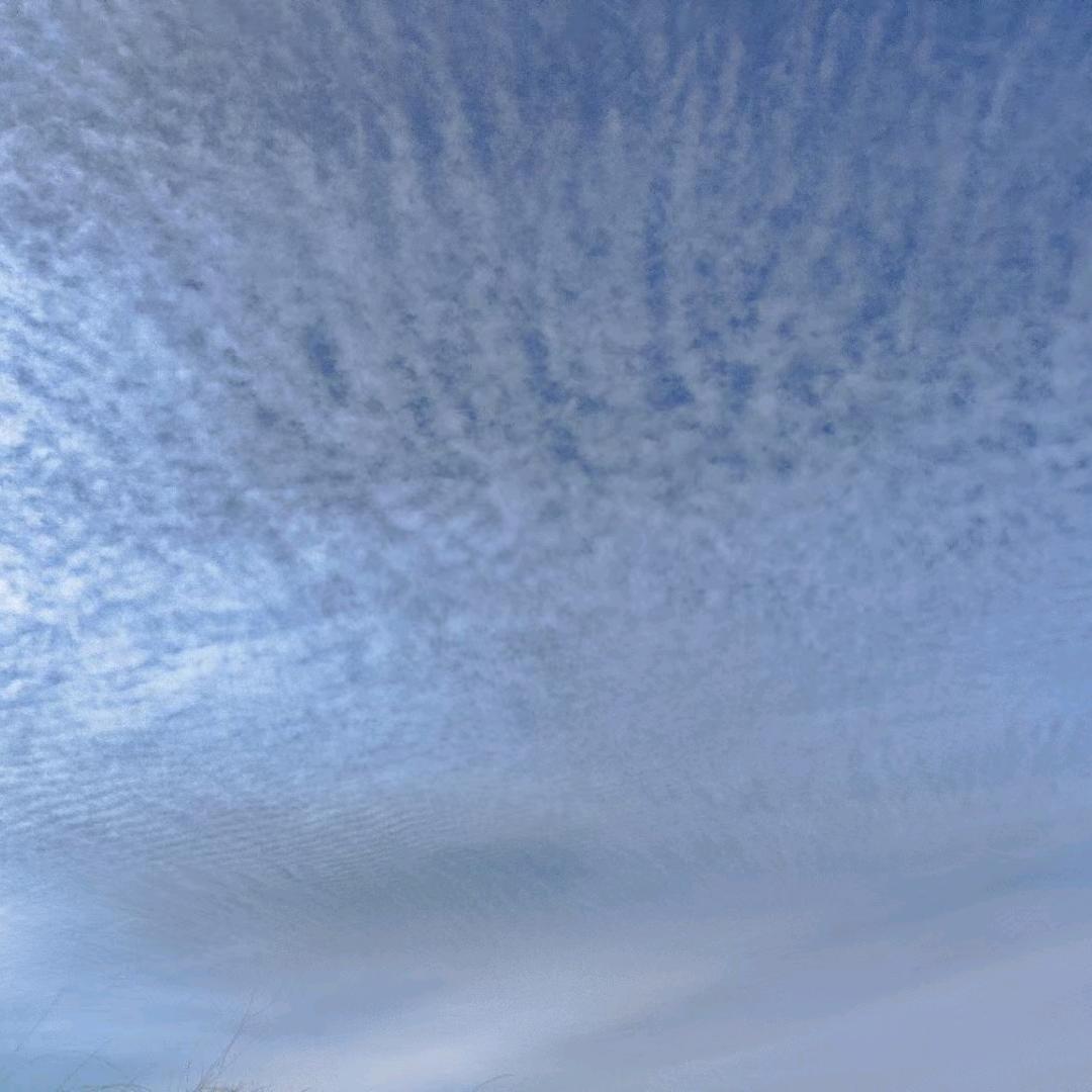 一半是来助你，一半是来度你。