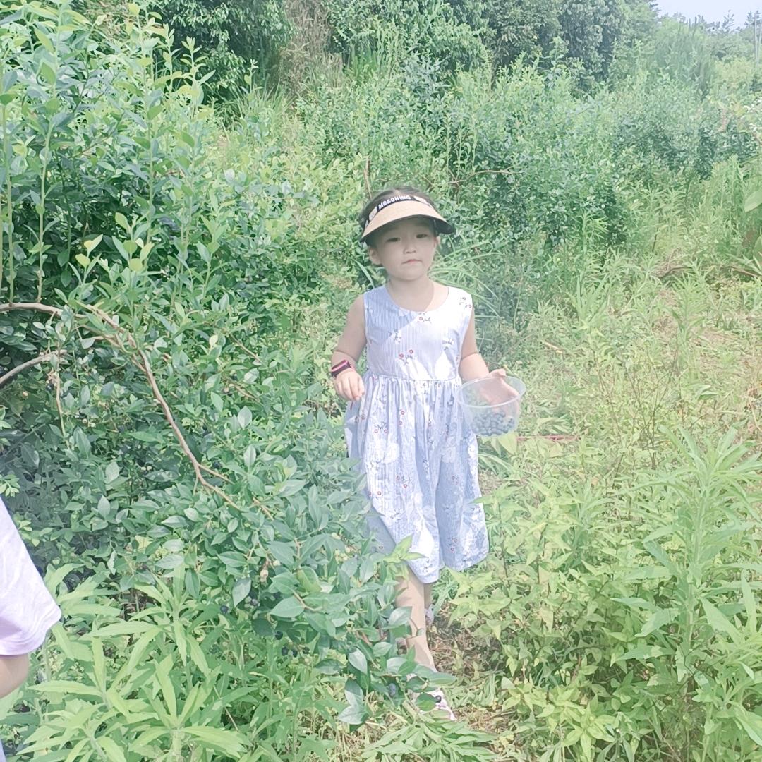 梨子