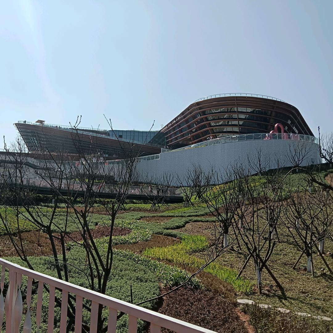 不再打扰