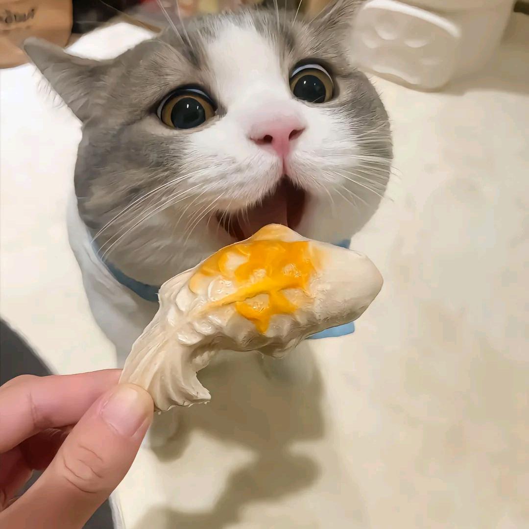天下为公