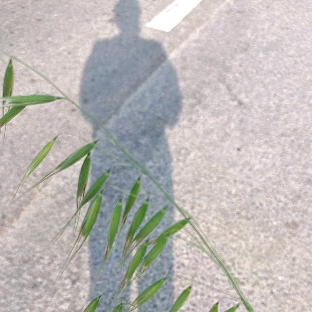 悄悄的来过