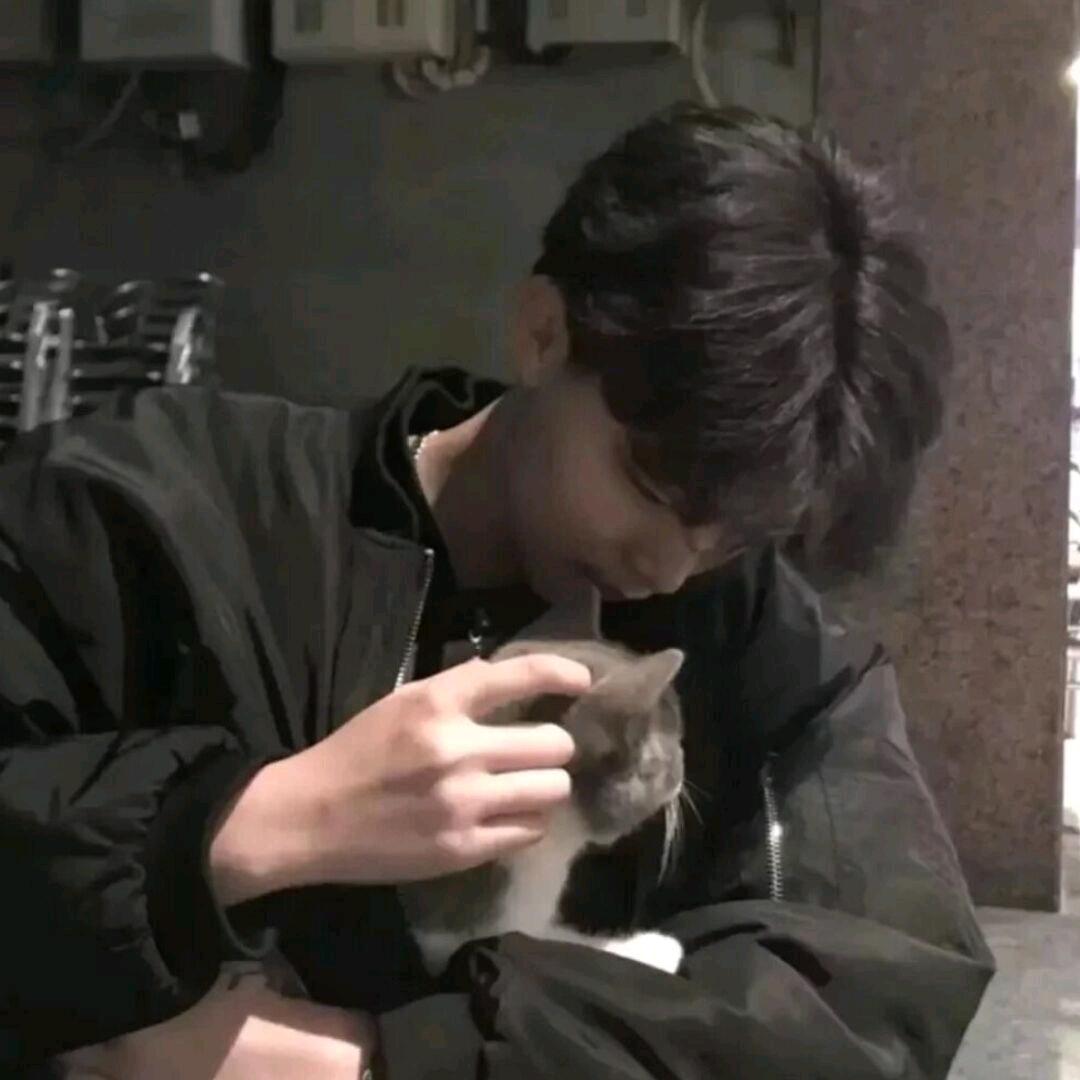 落叶为她倾城笑