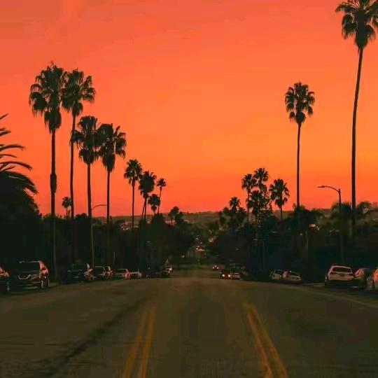 娟子首播  8：30