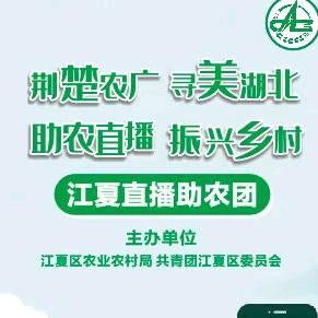 寻美荆楚 直播助农