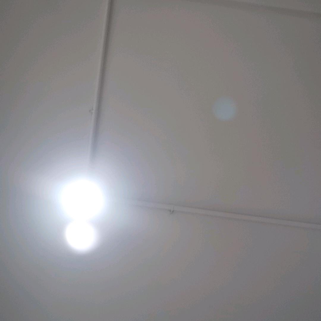 新势力公会---芮桃念