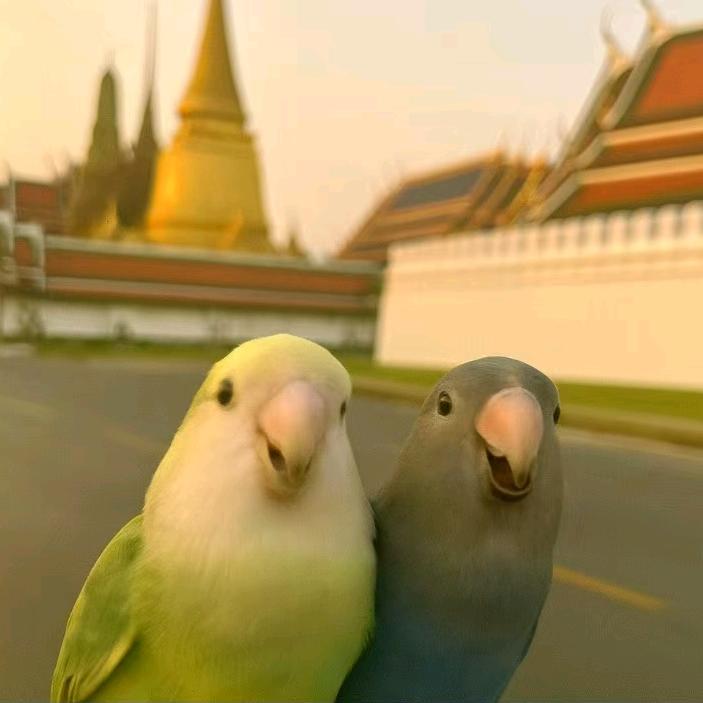 隋越