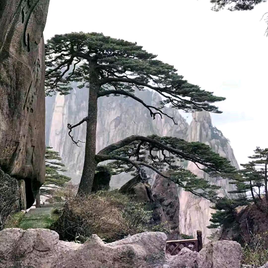 王润贤