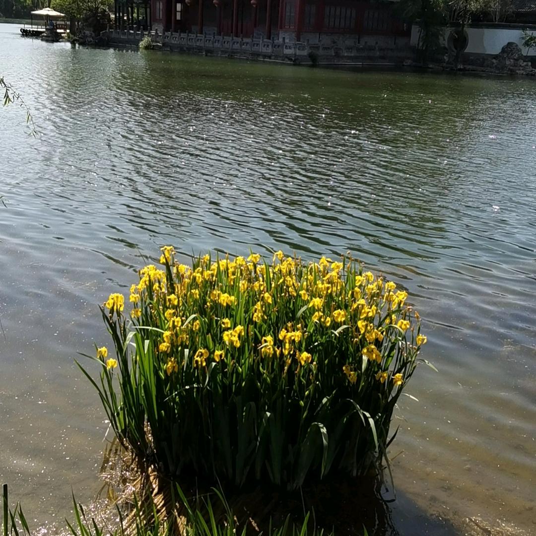 ❤٩(๛ ˘ 相儒以沫³˘)۶❤