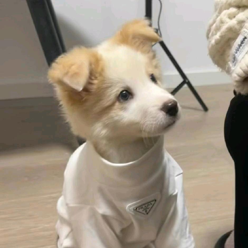 琛琛琛琛琛