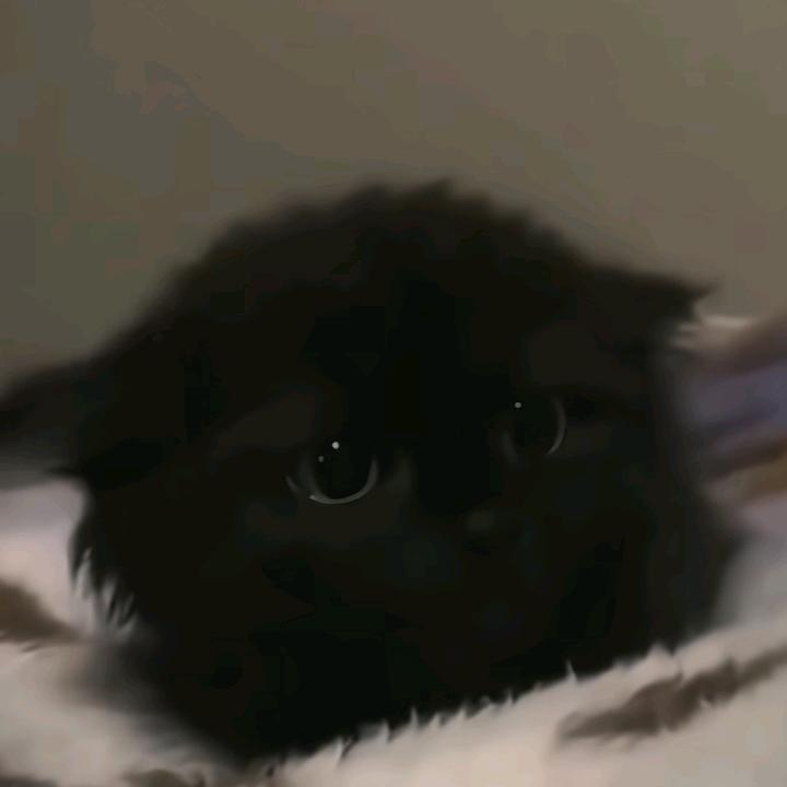 随便