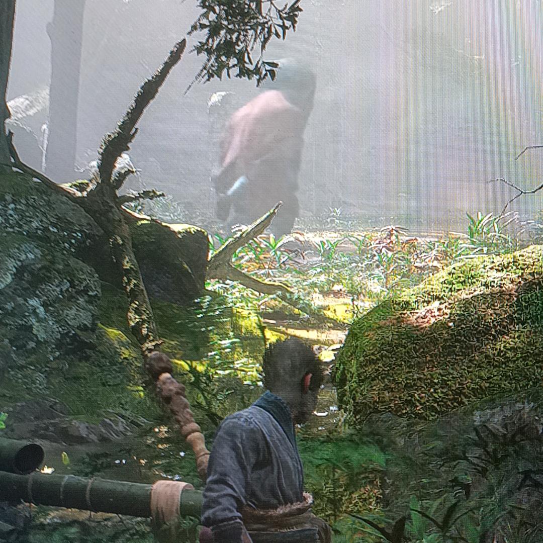 夏天的风吹不散冬天的冷