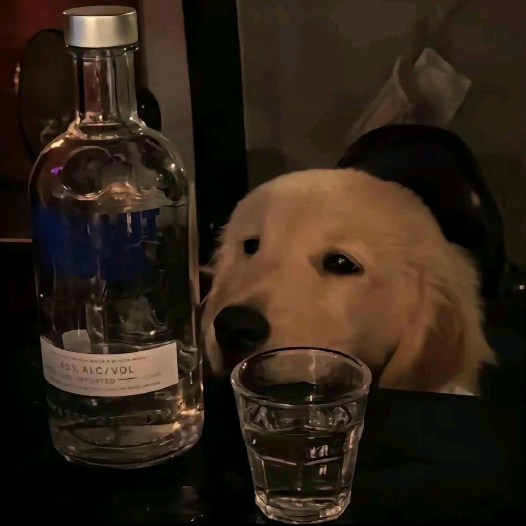我只会吃