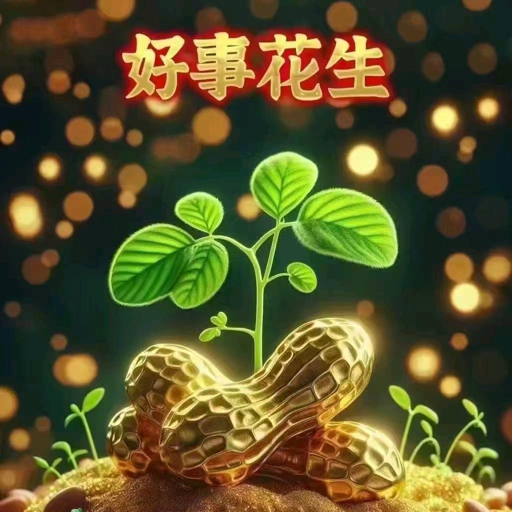 环姐