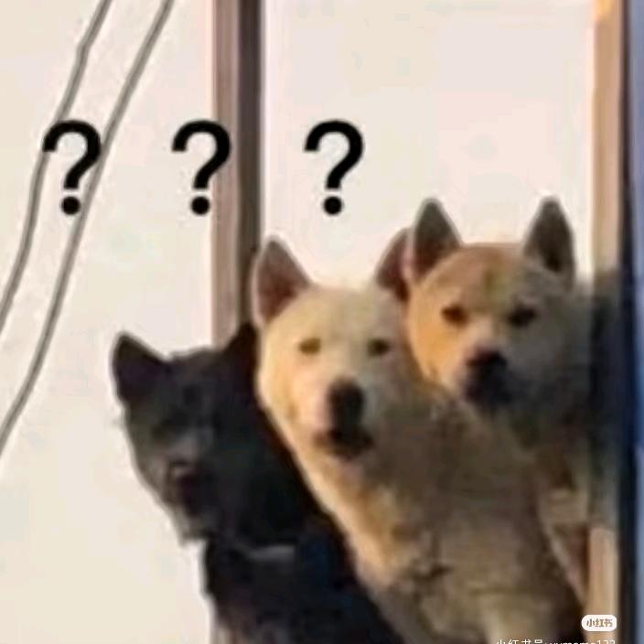 喵喵喵喵喵喵喵喵喵喵喵喵喵喵喵喵喵喵喵喵