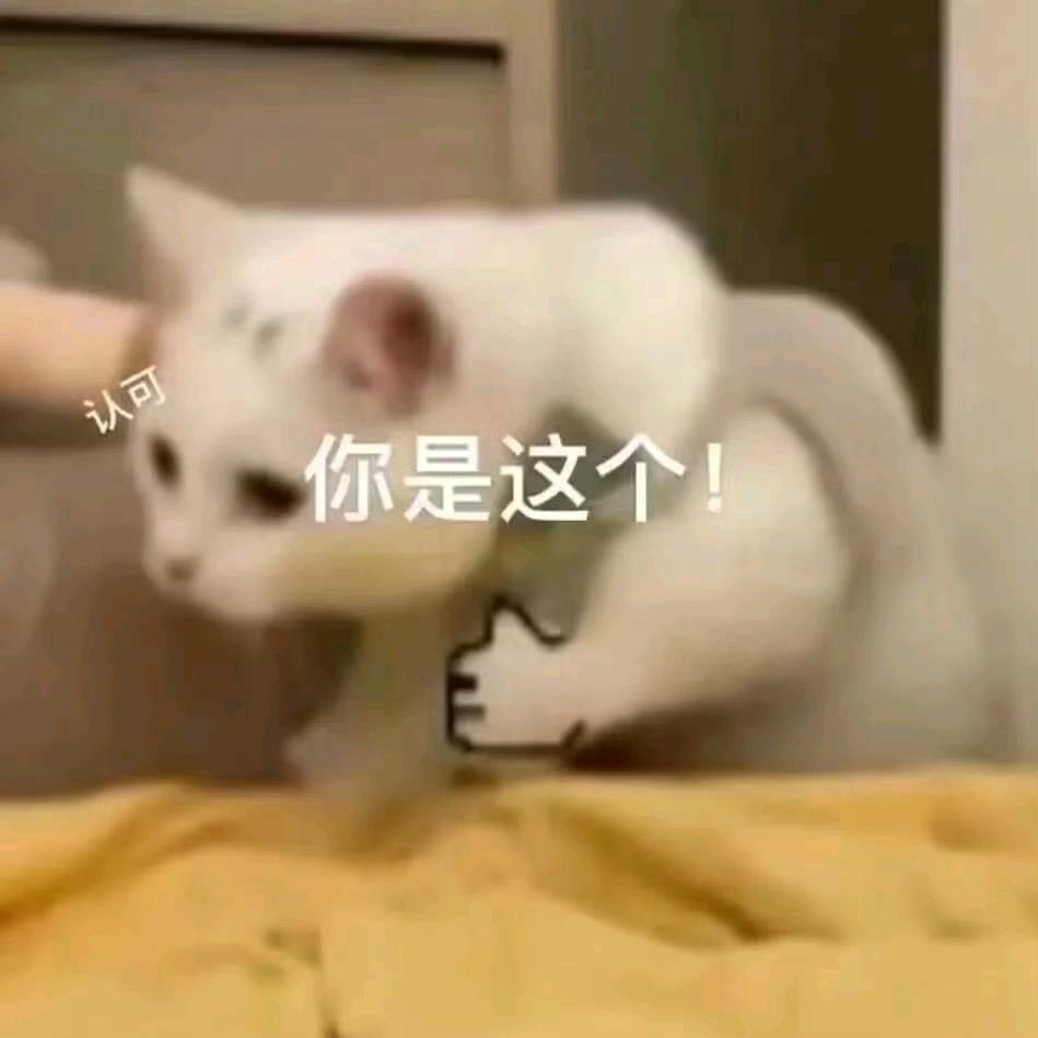 重生之我是懒羊羊