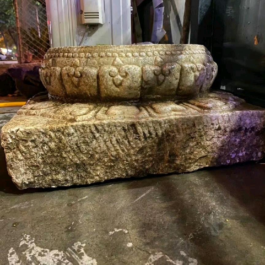 水熊