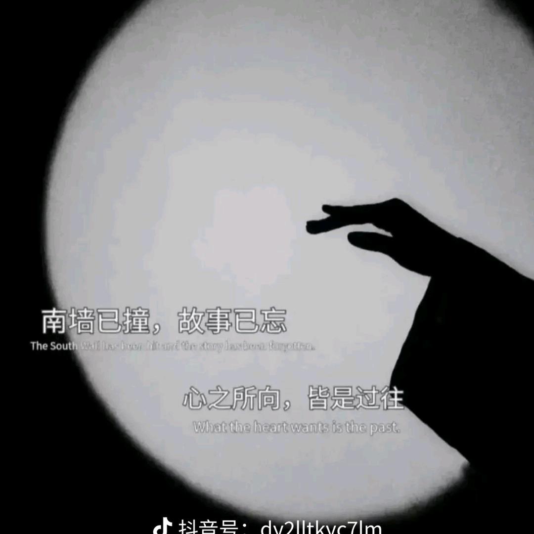 菲菲