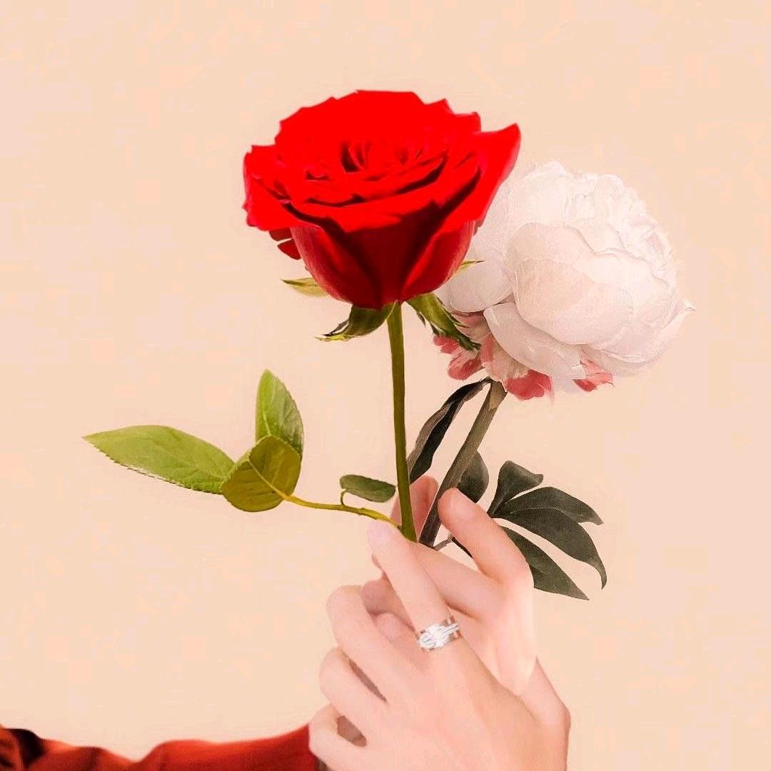 驮花的羊