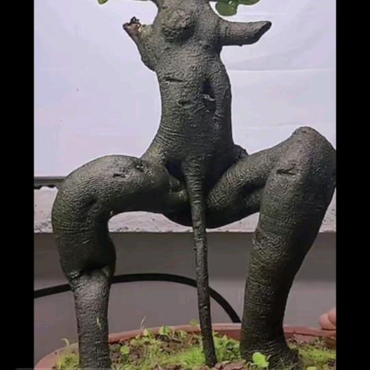 洪七公