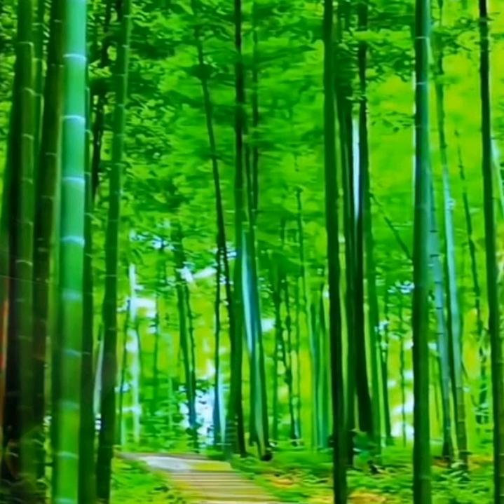 风和日暖🌴