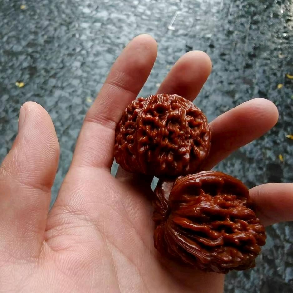 君子不争