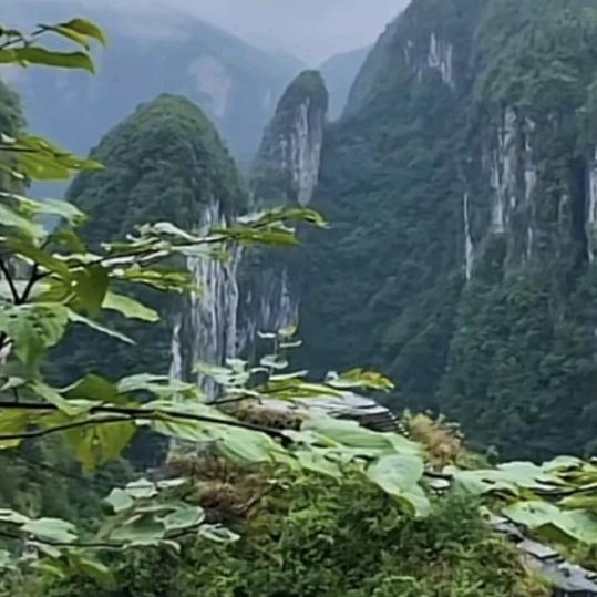 富春