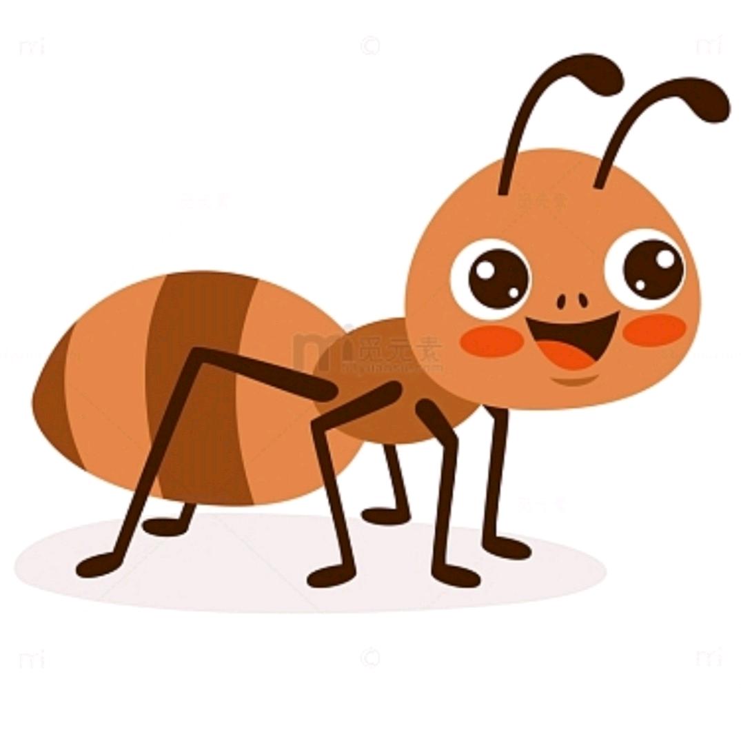蚂蚁不是昆虫