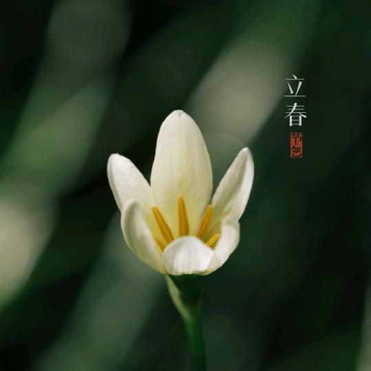 廖大军