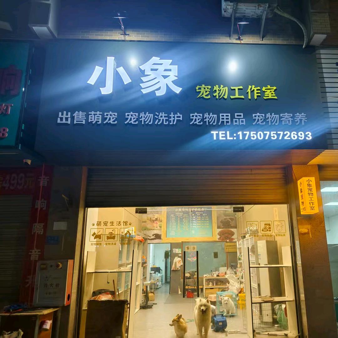 小象宠物工作室官方号