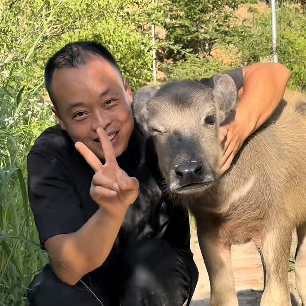 好乖与毛毛
