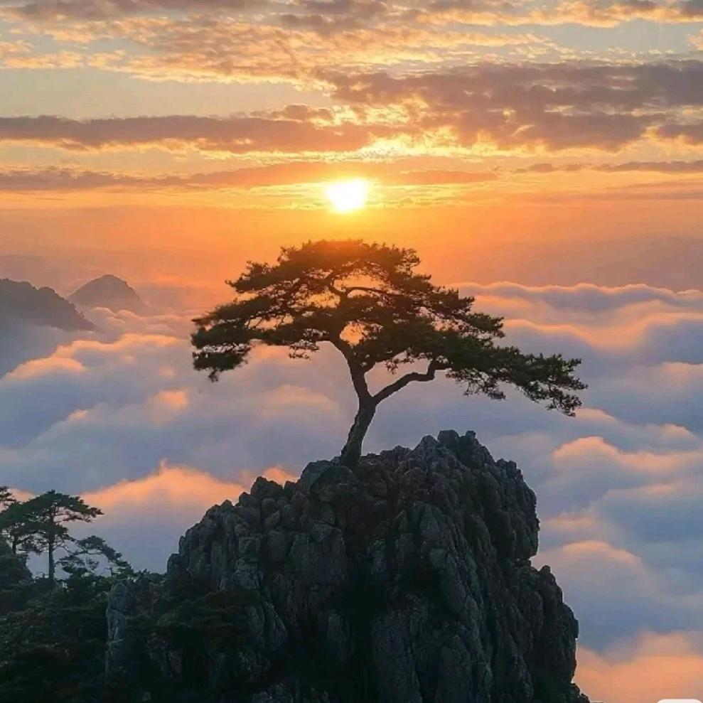 河南鑫聘企业管理服务有限公司