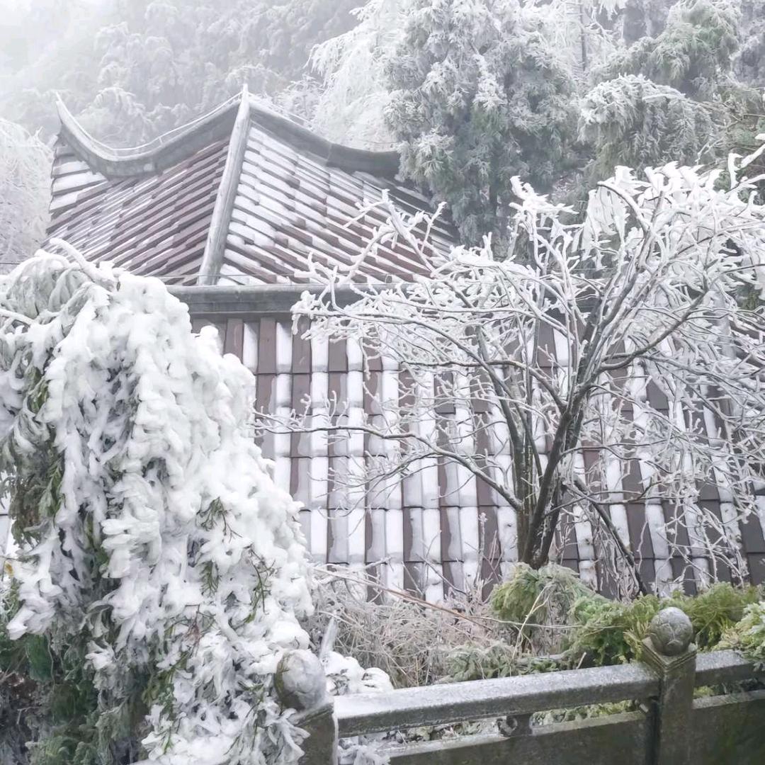 晓杨同志