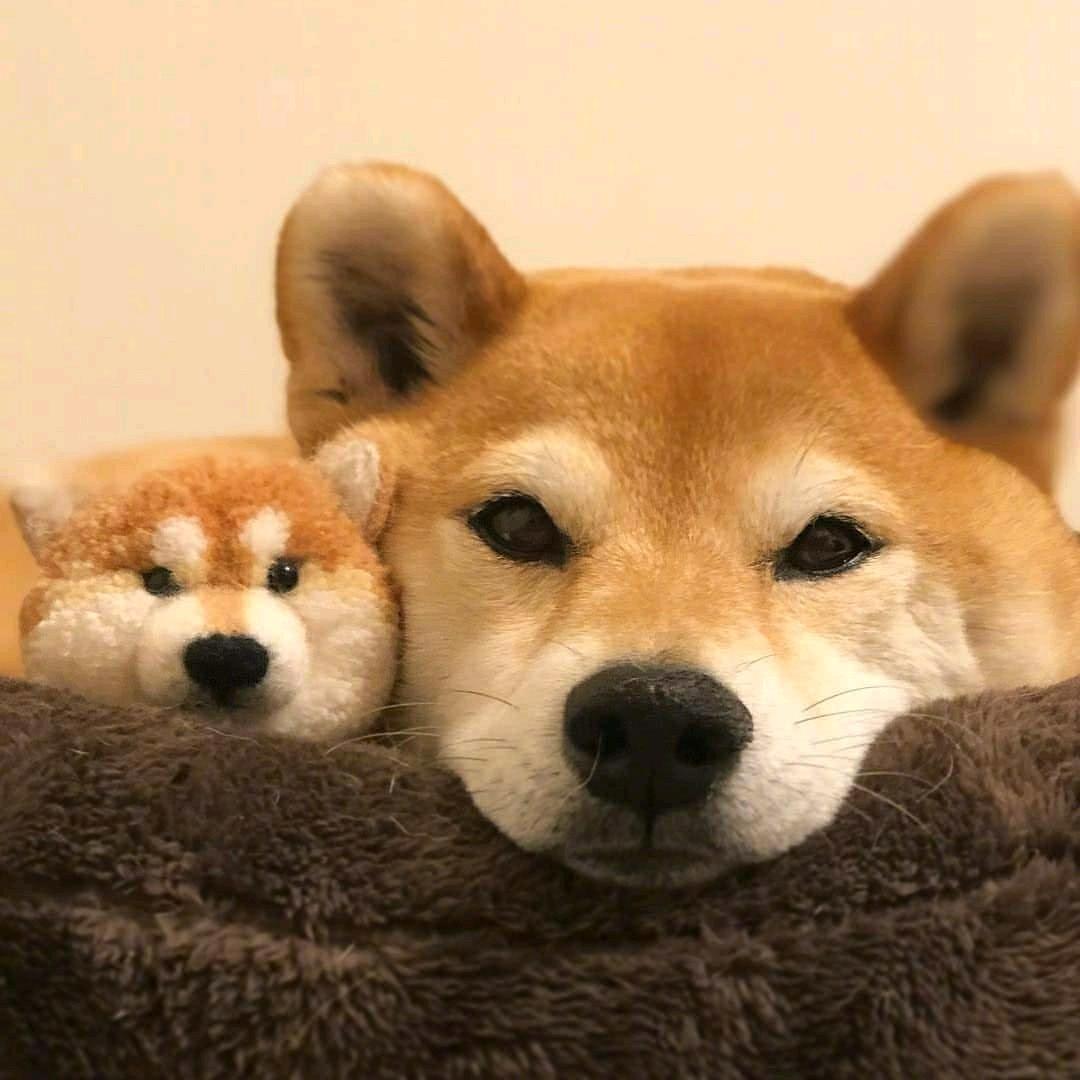 纽扣麻袋