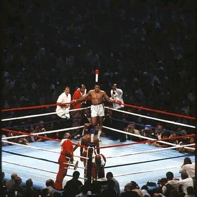 拳击🥊卫教
