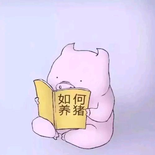 小元宝