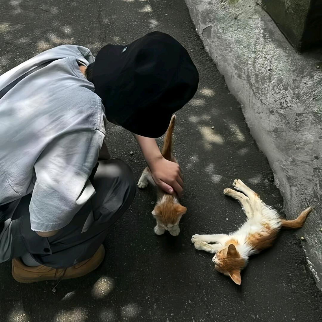 小羊不喝可乐