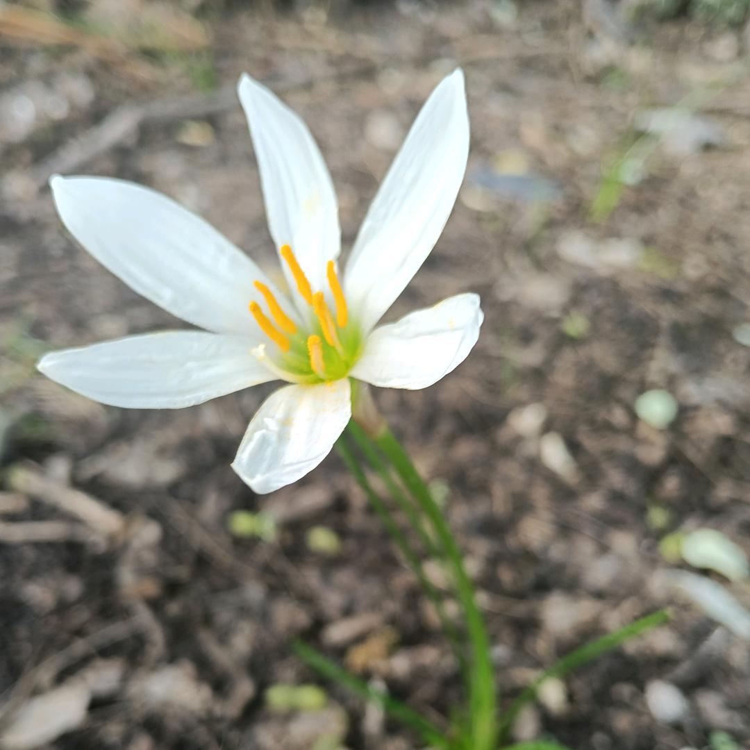 💞ঞ᭄满天星辰໊ഒᩚ࿐
