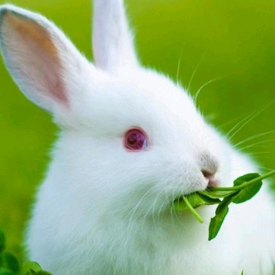 爱你无悔，往事如风…