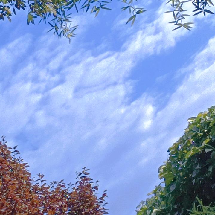 ༄ℳ隐居ꦿ᭄💖༄月亮ꦿ᭄