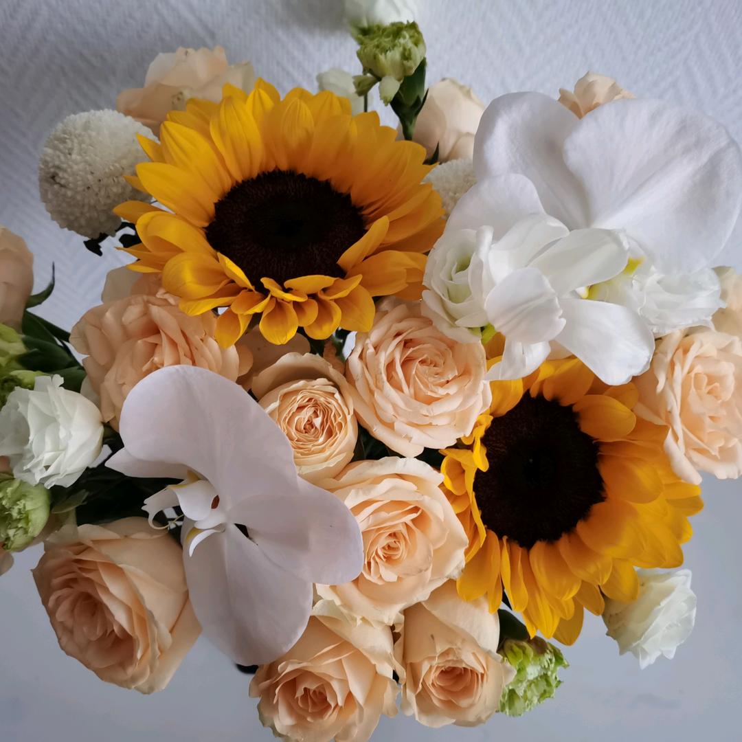 🌈🌈哈喽🌈🌈