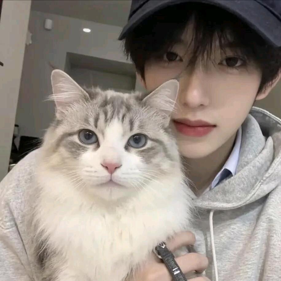 A.星辞（王者顶级工作室）（招打手）