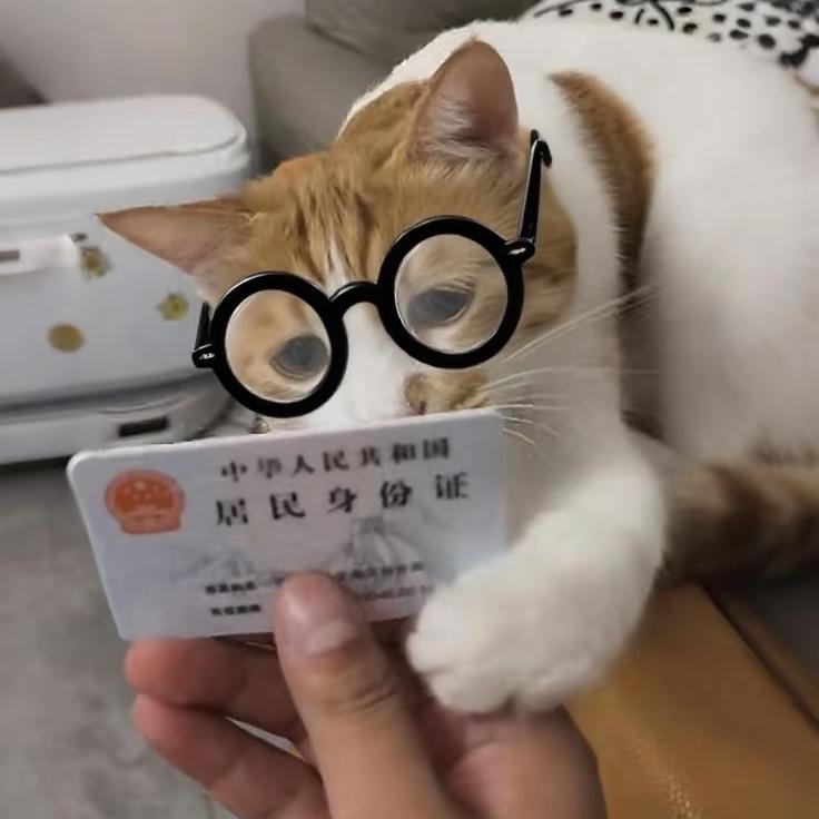 画卷绘江南🍁