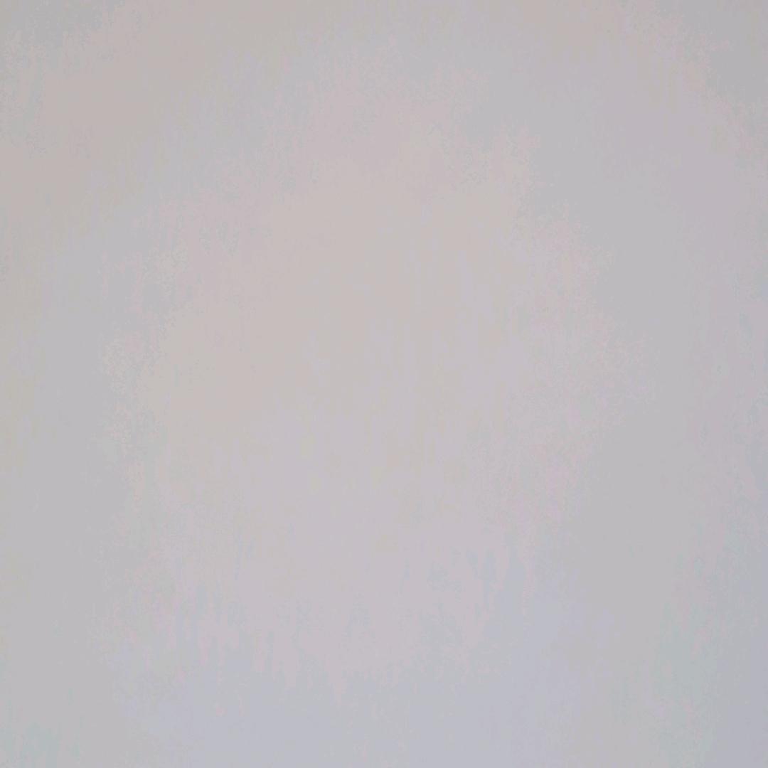 莫小龙