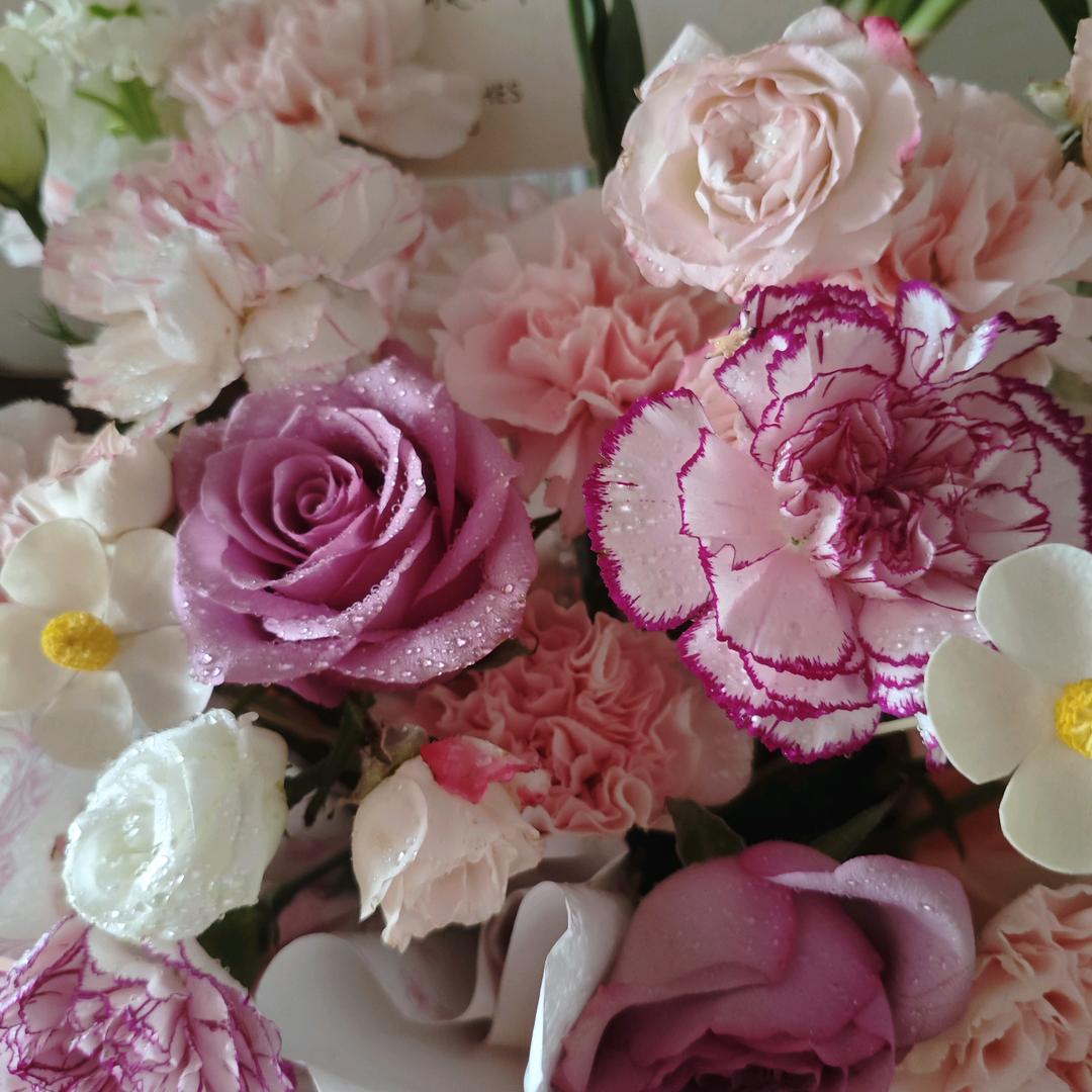 可可爱爱的哈公主