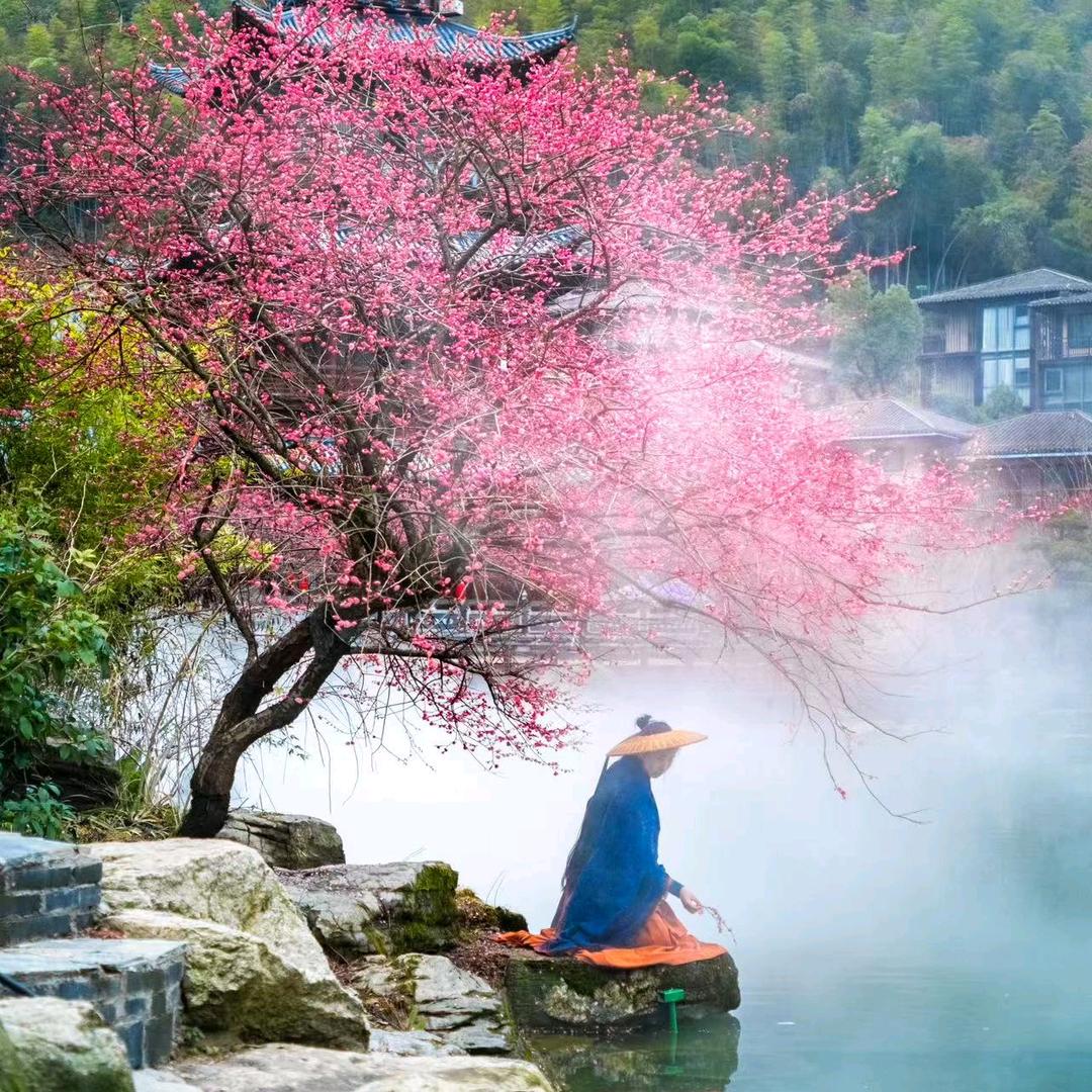 禅语