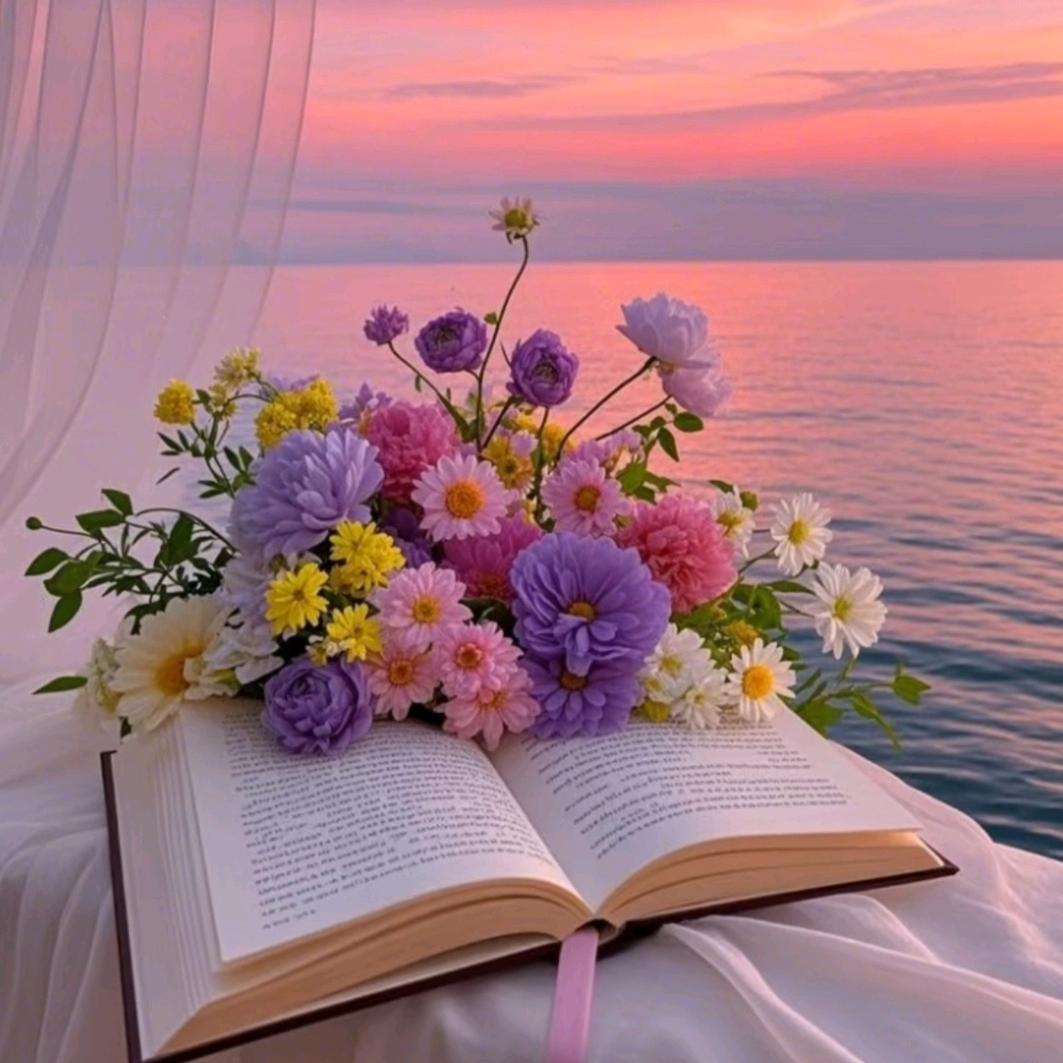 羽禾♡ོ𝒻𝓎